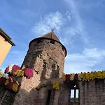 Schwarzwaldnest