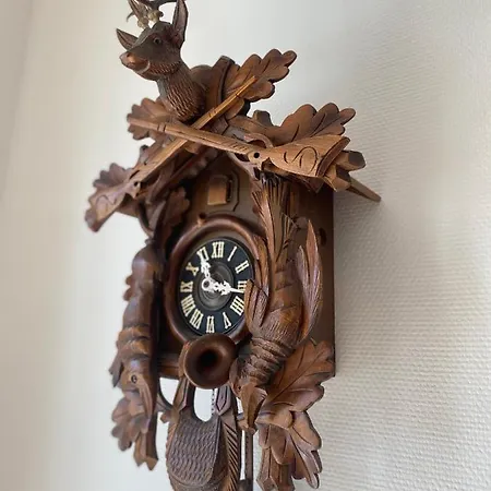 Schwarzwaldnest Apartman Lahr