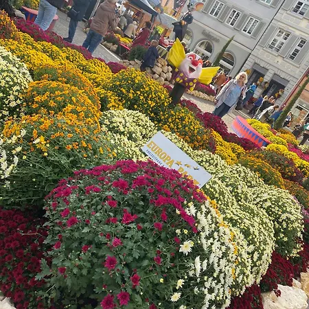 Appartamento Schwarzwaldnest *