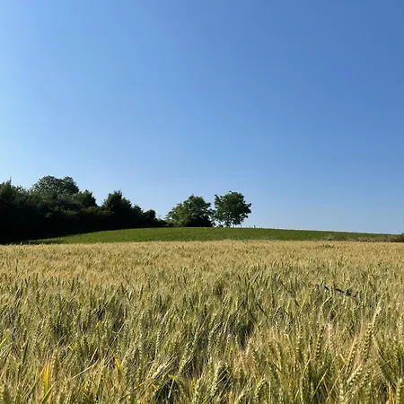 Appartamento Schwarzwaldnest