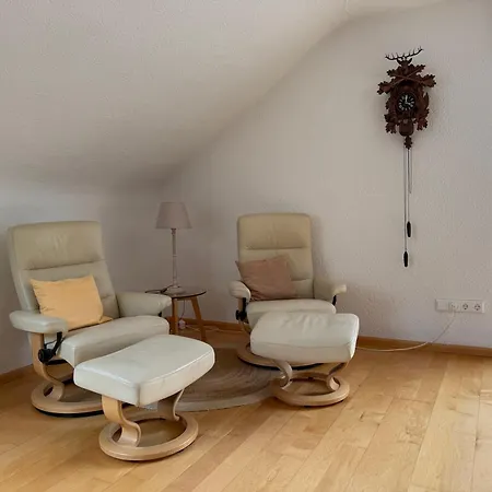 Apartment Schwarzwaldnest Lahr (Baden-Wurttemberg)