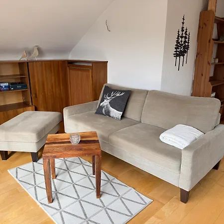 Apartment Schwarzwaldnest