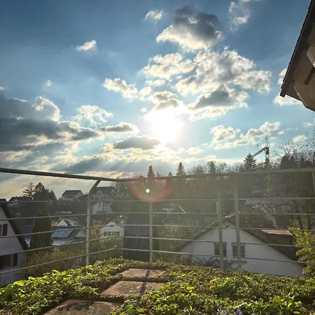 Apartment Schwarzwaldnest Lahr (Baden-Wurttemberg)