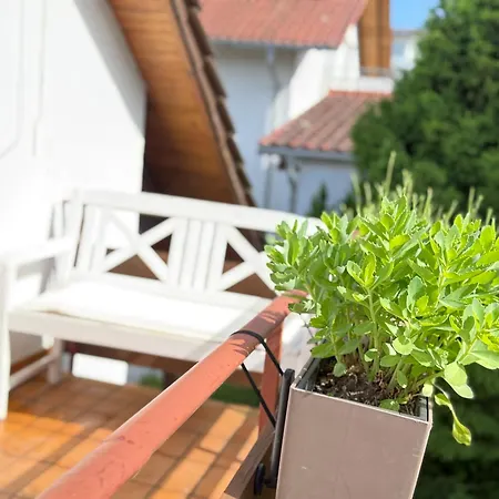 Apartment Schwarzwaldnest