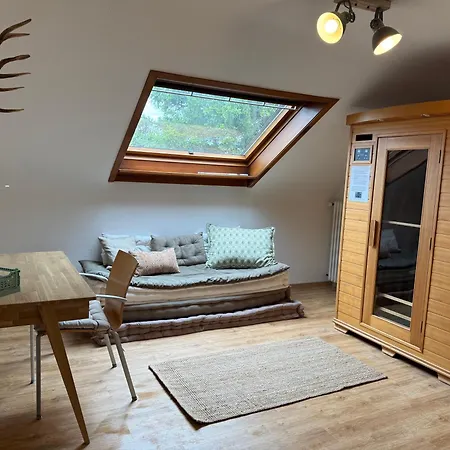 Apartment Schwarzwaldnest Lahr (Baden-Wurttemberg)