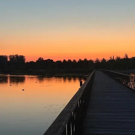 Schwarzwaldnest Apartment Lahr (Baden-Wurttemberg)